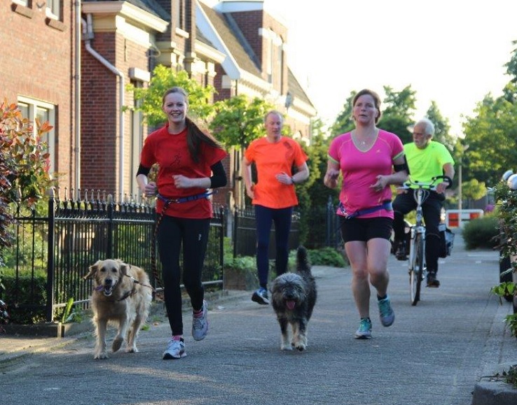 Dogrun clinics4running